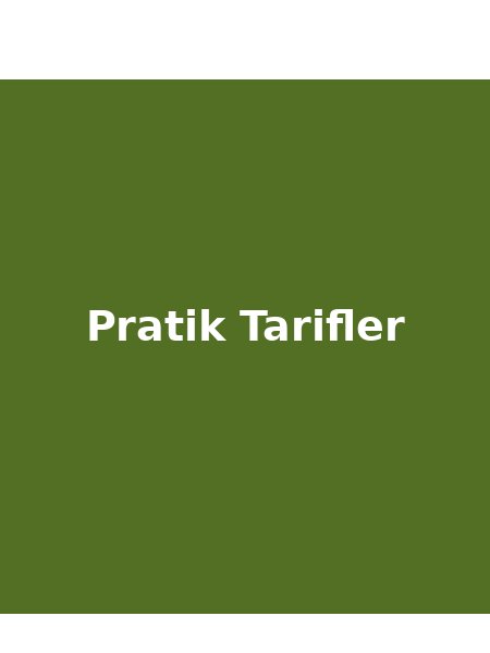 Pratik Tarifler